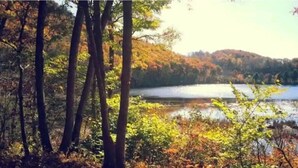 A forested area with a lake and hills in the background. - Plan Your Escape to the Cottage! Minutes to Mystic, Connecticut. This pet-friendly retreat has a private fenced-in rear garden patio. Your stay includes organic breakfast, firepit, hammock, and onsite hiking trails. Up to 2 well-behaved pets welcome! (Ledyard)