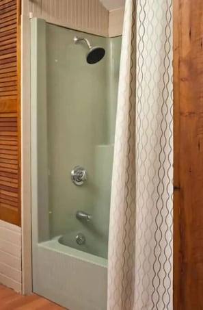 Combined shower/bathtub, eco-friendly toiletries, hair dryer, towels