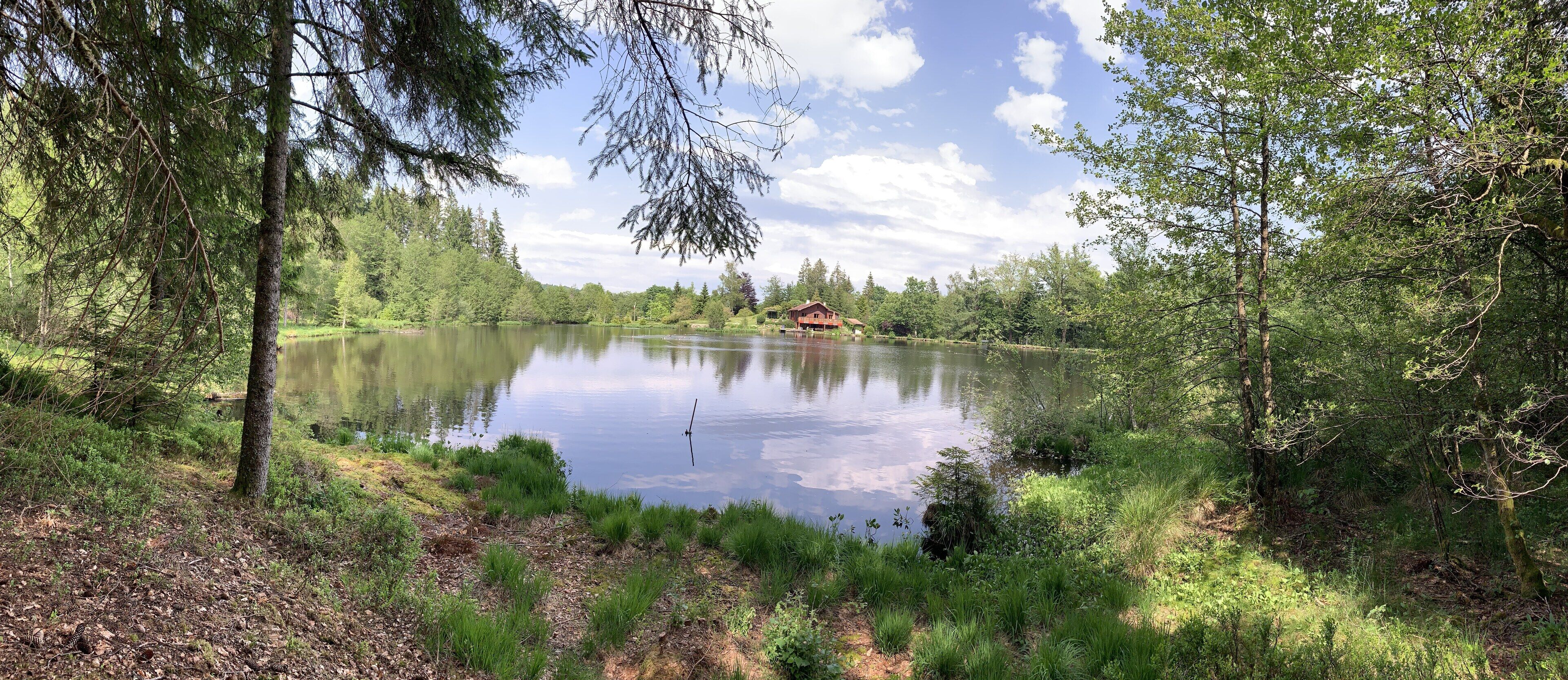 Un entorno tranquilo junto al lago con una cabaña de madera a lo lejos.