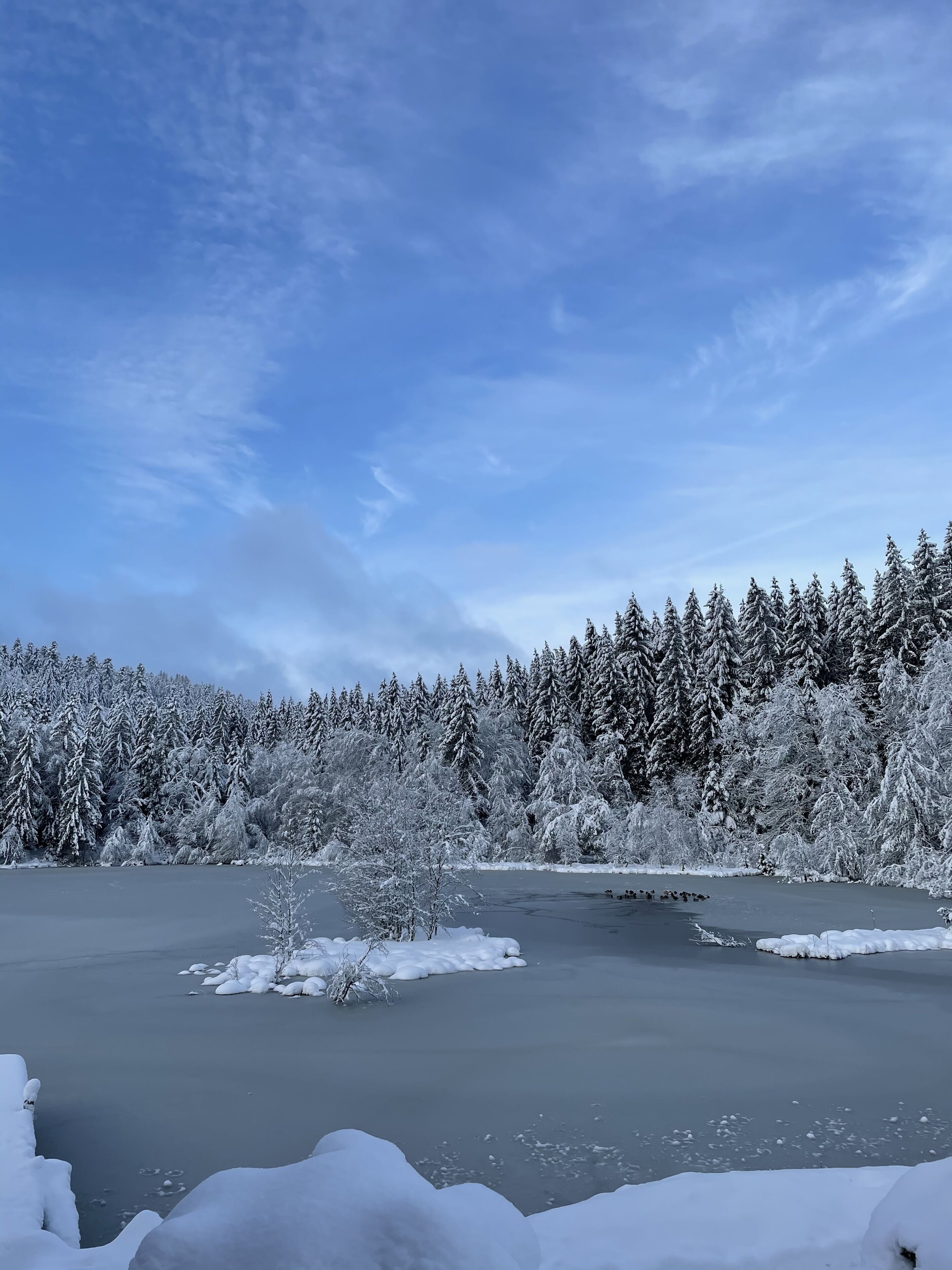 Un lago helado rodeado de árboles cubiertos de nieve y un cielo azul despejado.