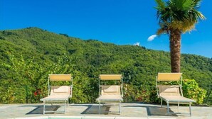 Una piscina con tres sillas de descanso y una palmera, rodeada de exuberante follaje y una colina al fondo.