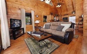 TV, fireplace, DVD player