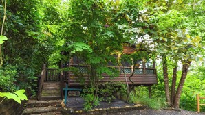 A rustic cabin surrounded by dense foliage, with a wooden staircase leading up to a porch.