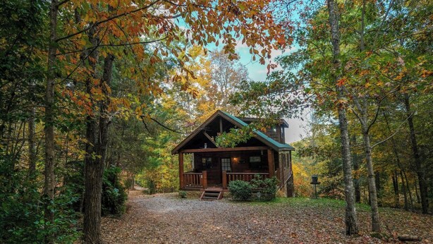A cabin surrounded by trees with a gravel path leading to it. - Paradise in the Treetops, Hot Tub, Game Loft & Fireplace - Almost Bearadise (Sevierville)