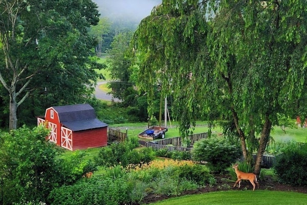 Overnattingsstedets uteområder