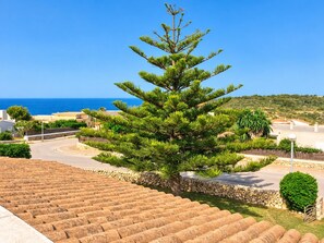 A coastal residential area with a prominent pine tree, a stone staircase, and a clear view of the sea.