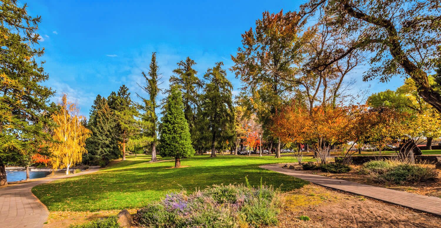 A park with a paved walkway, grassy areas, and trees with autumn foliage.