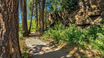Enceinte de l’hébergement