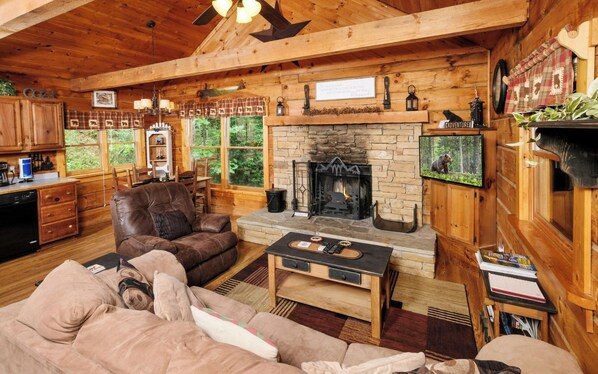 TV, fireplace, DVD player, video library