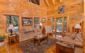 TV, fireplace, video games, music library