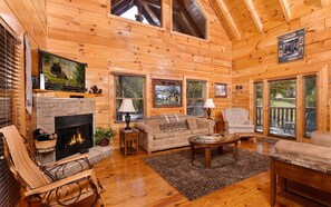 TV, fireplace, video games, music library