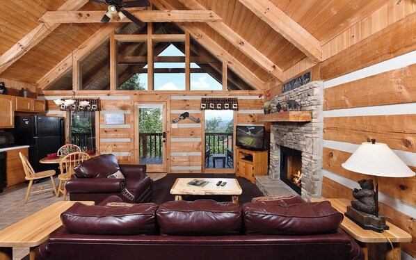 Tv, eldstad, dvd-spelare och böcker