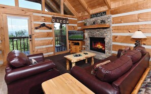 TV, fireplace, DVD player, books