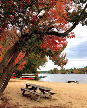 Beach nearby, sun-loungers, beach towels -  Little Pond, Big Fish, Swimming, Hiking, Kayaking on our Private Lake.  (Windham)