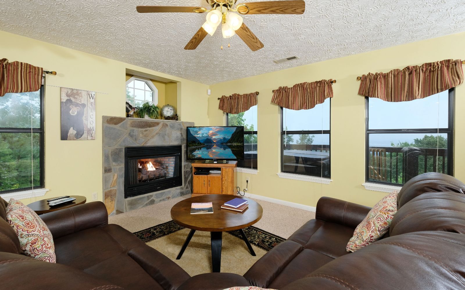 TV, fireplace