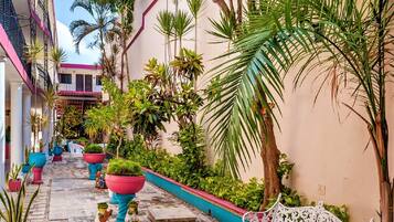 Jardín