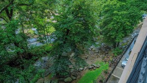 A view of a lush green park with trees, a small stream, and a parking area. - Creek View GH403 - Sip coffee on the balcony with the sound of the creek! (Gatlinburg)