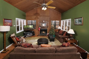 TV, fireplace, video games, DVD player