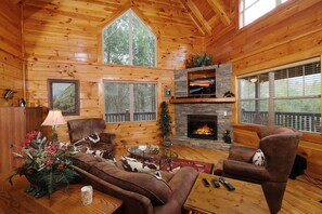 TV, fireplace, DVD player