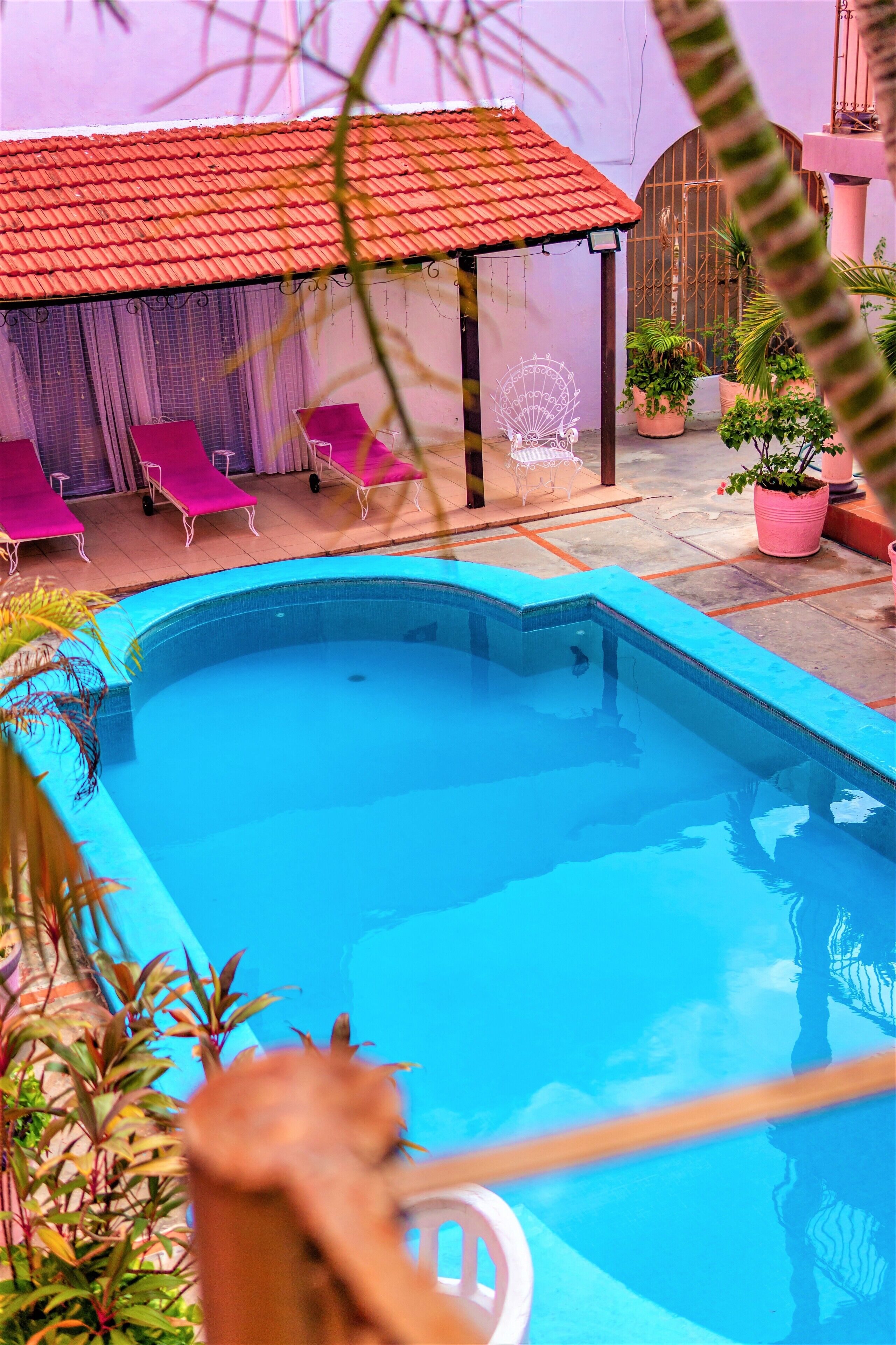 Une piscine dotée d’un toit carrelé, entourée de chaises longues et de plantes en pot.