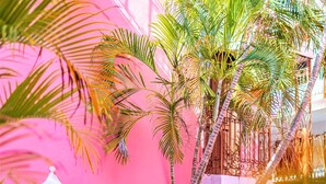 A pink building with a wooden door, a metal gate, and a small garden with plants and a palm tree. - Hotel Santa Lucía (Mérida)