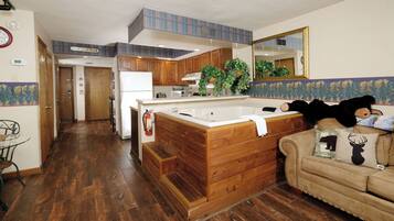 Télévision, cheminée, lecteur de DVD