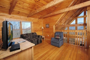 TV, fireplace, DVD player