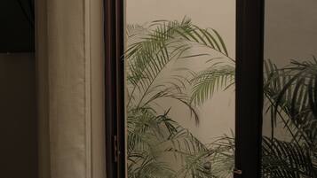 A room with a view of palm trees through a window, a curtain, and a door frame.