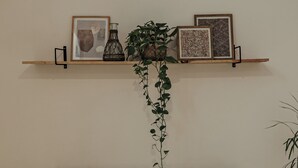En stue med en grå sofa, en træhylde med indrammede kunstværker og en vase, samt en potteplante.