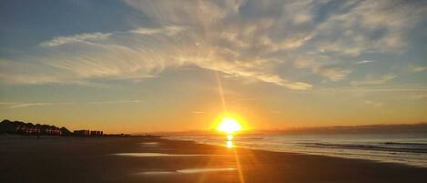 ビーチの近く、サンラウンジャー、ビーチタオル