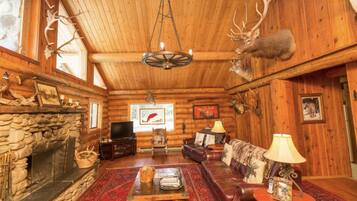 TV, fireplace, DVD player