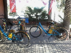 Property grounds - Riad 34 (Marrakech)