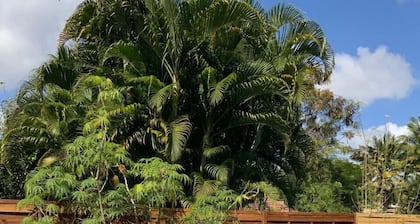 300 m from the beach, mini Villa with private pool