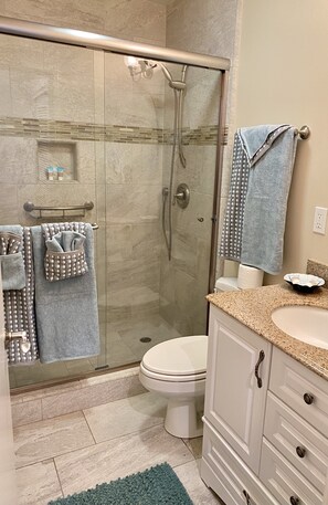 A bathroom with a glass-enclosed shower, a toilet, and a sink with a granite countertop. - Beautiful Oceanfront, just steps to the beach, Fireplace, Remote location (Watsonville)