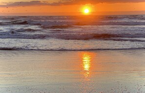 A beach at sunset with waves and birds. - Beautiful Oceanfront, just steps to the beach, Fireplace, Remote location (Watsonville)