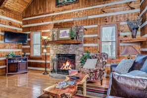 Smart TV, fireplace, DVD player, books