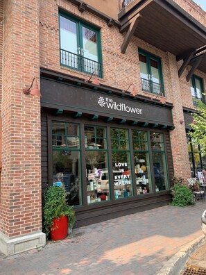 Exterior - Luxury townhouse with Baldy Views, walk to town/River Run Lodge (Ketchum)