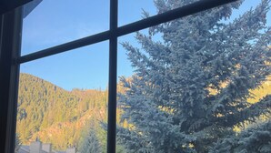 Vista desde una ventana de una zona montañosa boscosa con edificios en primer plano.