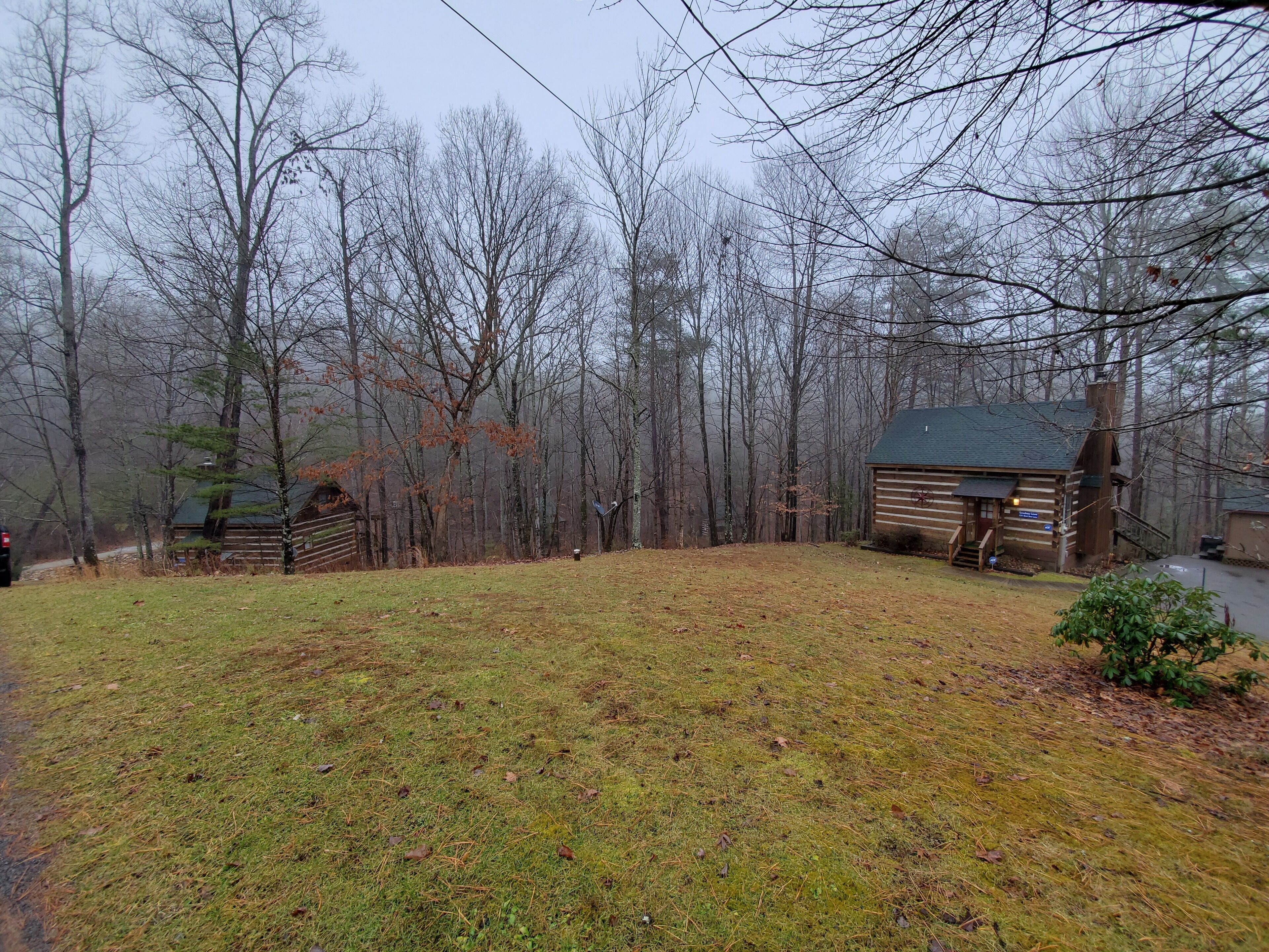 Une cabane rustique avec un toit végétalisé, entourée d’une zone boisée où les arbres ont perdu leurs feuilles.