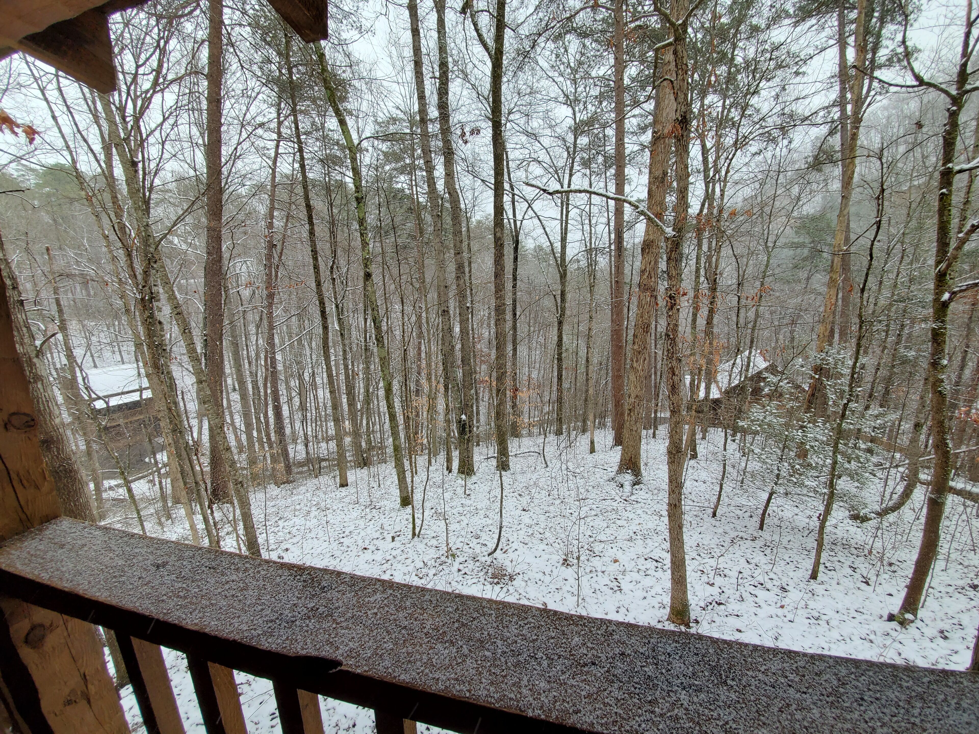 A view from a wooden balcony overlooking a snowy forest.