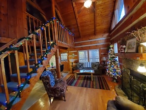 TV, fireplace, DVD player, books