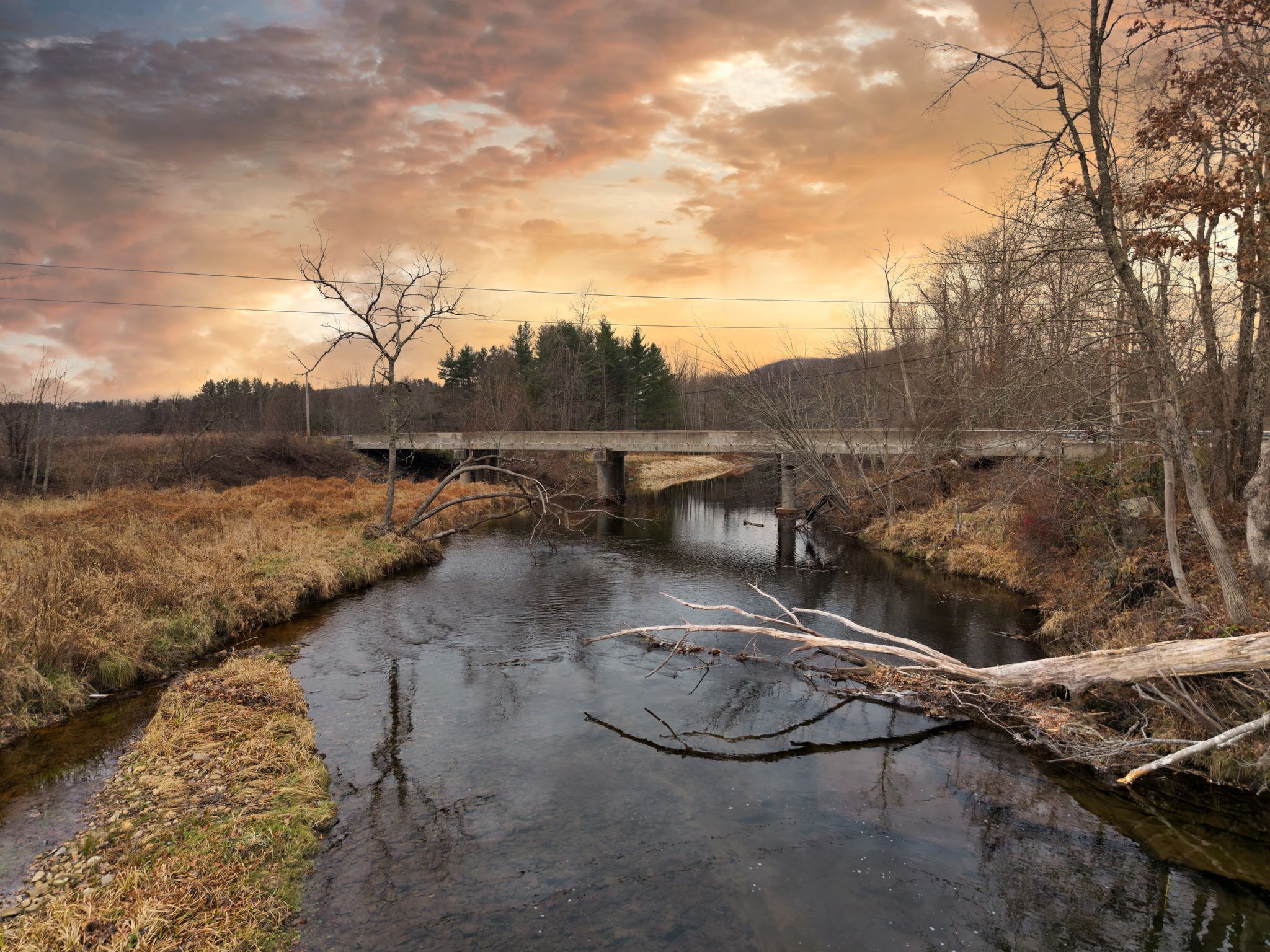 Un fiume con un ponte, circondato da alberi e vegetazione.