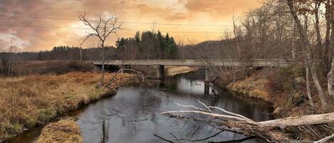 Un fiume con un ponte, circondato da alberi e vegetazione.