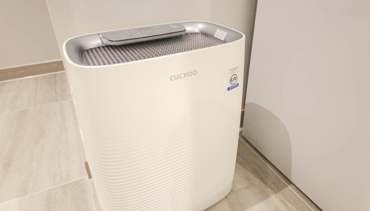 suite room | room amenity