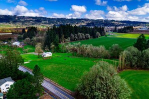 Unclassified image, 2 of 25, button