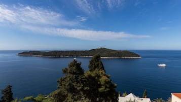 Studio (Studio Apartment with Sea View) | View from property