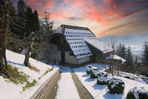 Family Villa, Multiple Bedrooms, 2 Bathrooms, Mountainside (Bonidesa House With Whirlpool) | Exterior - Bonidesa House With Whirlpool (Ljubno)