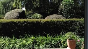 Une terrasse en bois offrant une vue sur un jardin bien entretenu, avec des haies soigneusement taillées et une grande variété de plantes.