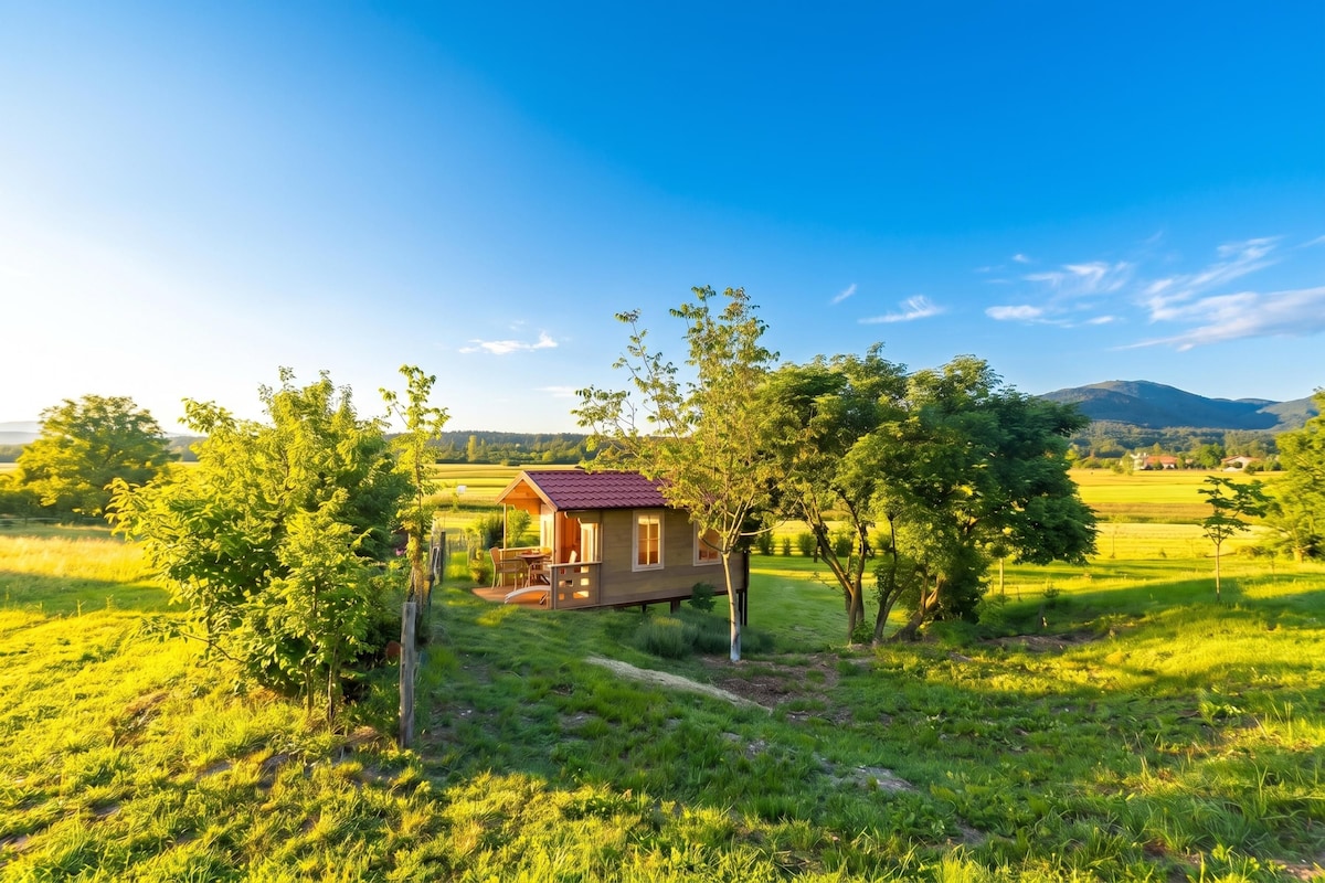 A small wooden cabin with a red roof, surrounded by lush green fields and trees, under a clear blue sky.
