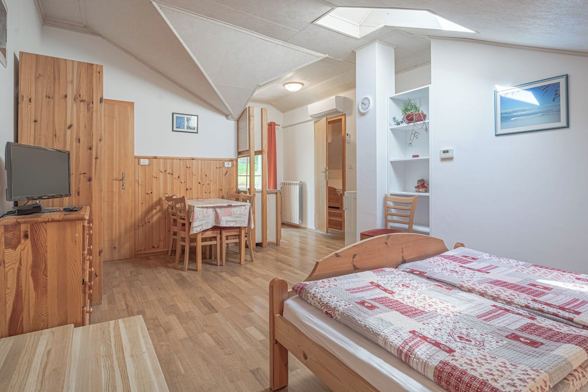 家庭公寓, 1 間臥室, 壁爐, 山旁 (Pivka Apartment With Terrace) | 2 間睡房、免費上網